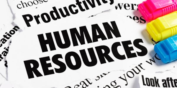Image for Division of Human Resource Management